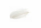 Goose shoulder feathers thumbnail