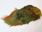 golden yellow thumbnail
