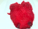 crow red thumbnail