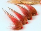 TTT Humus red TM thumbnail