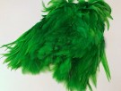 green highlander thumbnail
