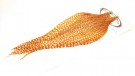 Grade 1 Barred Dark Ginger  CAPES ROOT RIVER HACKLE thumbnail