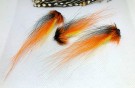 Shrimp isbjørnhår cascade TM variant thumbnail