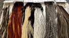 Grade 1 Half Brown Saddles Root River Hackle thumbnail