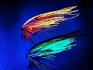 UV flashwing TM fluer thumbnail