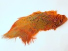 orange thumbnail