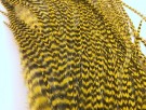 Grizzly supreme saddle 1/2 nakke  thumbnail