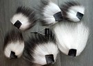  TD og TD s/tupper ble farget av silver & grey!  thumbnail