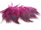 pink thumbnail