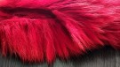 Farging 17.03 TD svarte tupper og TM supreme rev av blood red thumbnail