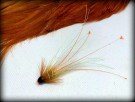 Fluebinderen TM olive thumbnail