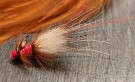 Gaula TM fl. fire red pot belly variant- NYHET2026 thumbnail