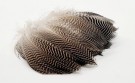 Hareline teal flank feathers thumbnail