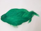 green highlander thumbnail