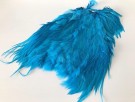 kingfisher blue thumbnail