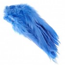 kingfisher blue thumbnail