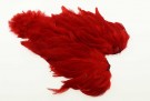 red thumbnail