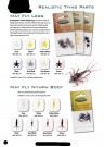 Myfly Nymph tails thumbnail