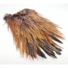 brown thumbnail