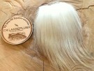 Kashmirgeit farget 12/2024- cashmere goat dyed thumbnail