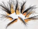 Flashwing Sunburst  thumbnail