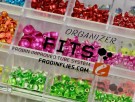 FITS Organizer Frödin Flies  thumbnail