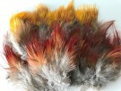 Golden pheasant body feathers- nytt påfyll!  thumbnail