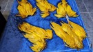 Marabou patch nakker ble farget av banan og dirty banan!  thumbnail