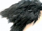 black thumbnail