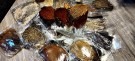 TM signatur Indiske nakker har kommet!  thumbnail