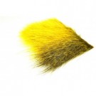 sunburst yellow thumbnail