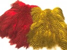 grizzly red and yellow thumbnail