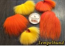 TM tempelhund under farging!  thumbnail