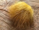 dirty banana thumbnail