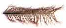 Cock Pheasant Knotted Tails Veniard thumbnail