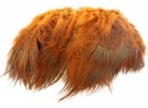 orange thumbnail