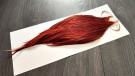 GRADE 2 BROWN CAPES ROOT RIVER HACKLE thumbnail