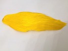 yellow thumbnail