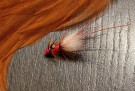 Gaula TM fl. fire red pot belly variant- NYHET2026 thumbnail