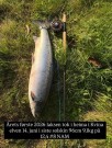 Peter vant konkurransen i Kvina denne sesongen! 96cm 9,1kg laks.  thumbnail