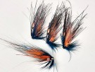 Flashwing Lundamoflua  thumbnail