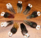 Coq De Leon grade 1- Hareline thumbnail