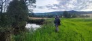 Flott fluefiske kveldstur med Øyvind! thumbnail