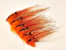 UV flashwing TM fluer thumbnail