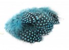 silver doctor blue thumbnail