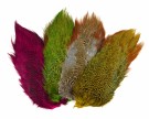 NATURE’S SPIRIT RINGNECK PHEASANT RUMP PATCH thumbnail