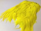 el. yellow thumbnail
