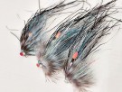 Flashwing Sillen variant  thumbnail