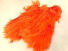 fluo orange thumbnail
