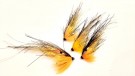 Flashwing Sunburst  thumbnail